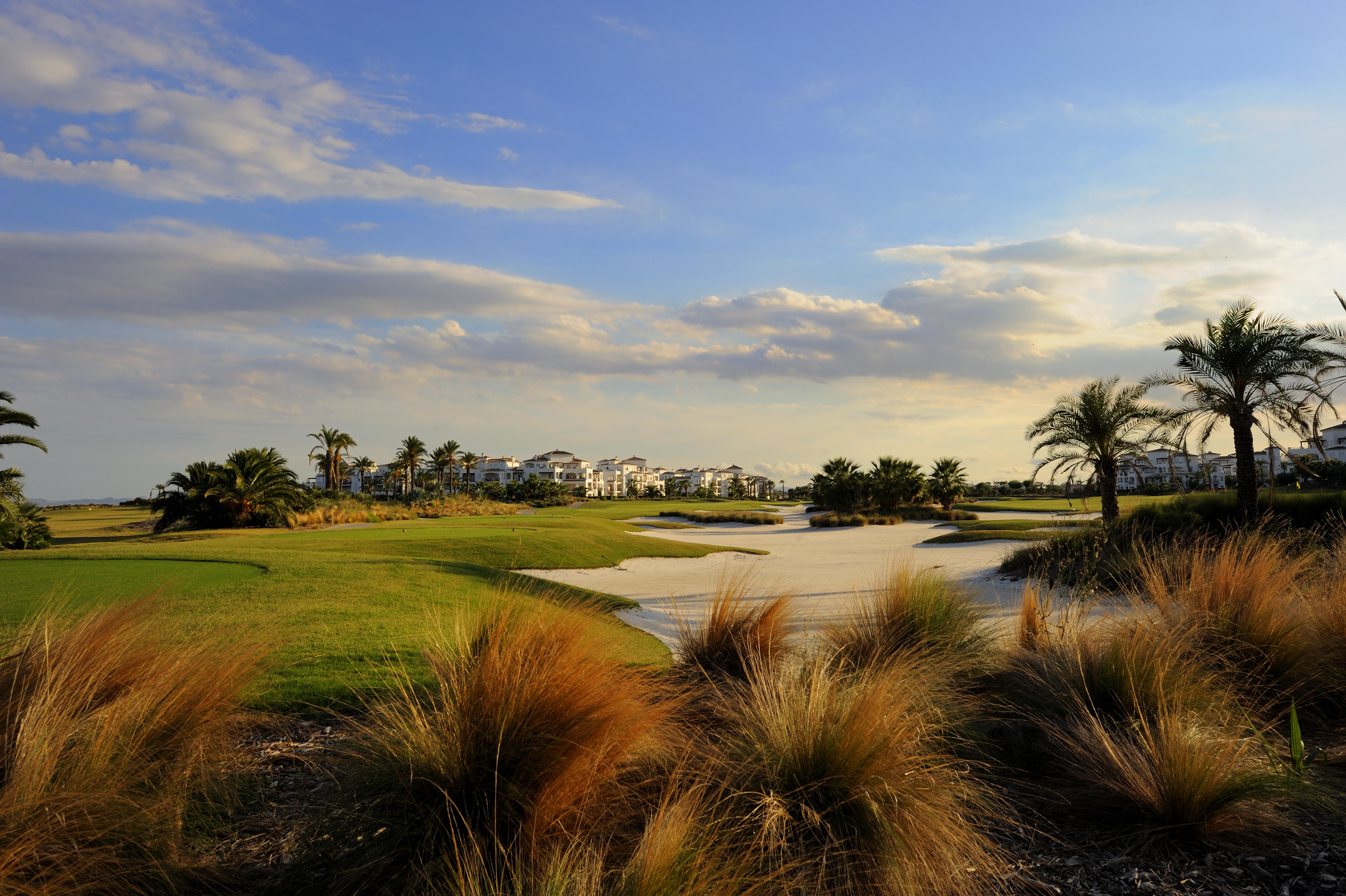 拉托雷希尔顿逸林高尔夫水疗度假酒店 罗尔丹 外观 照片 Golf course at the Ritz-Carlton, Naples